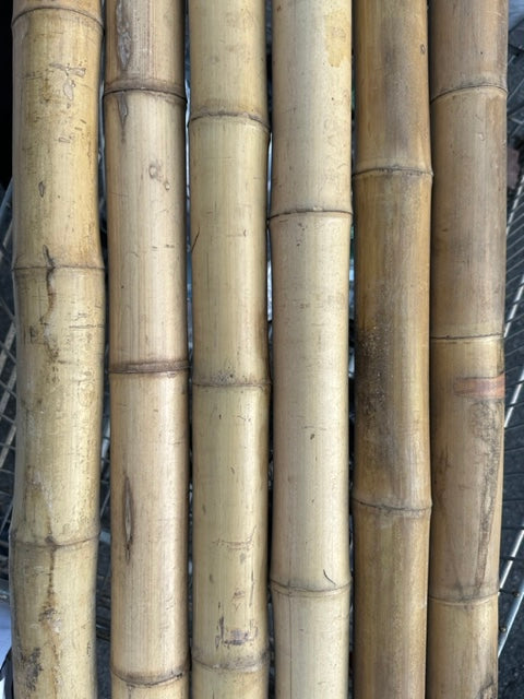 2"-3" Bamboo Poles