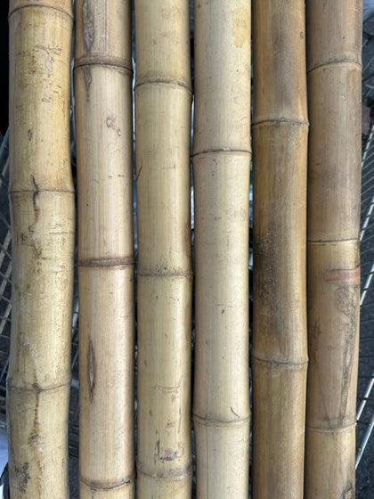 2"-3" Bamboo Poles