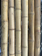 2"-3" Thick Bamboo Poles -  12 1/2'